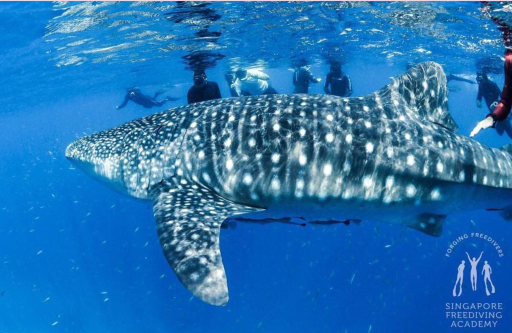 22b244be-2512-4bab-b873-c079bd82c78a