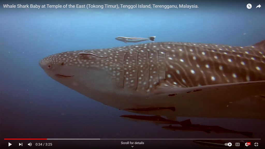 08de1eae-2969-42d7-a58c-8ed43d12292e