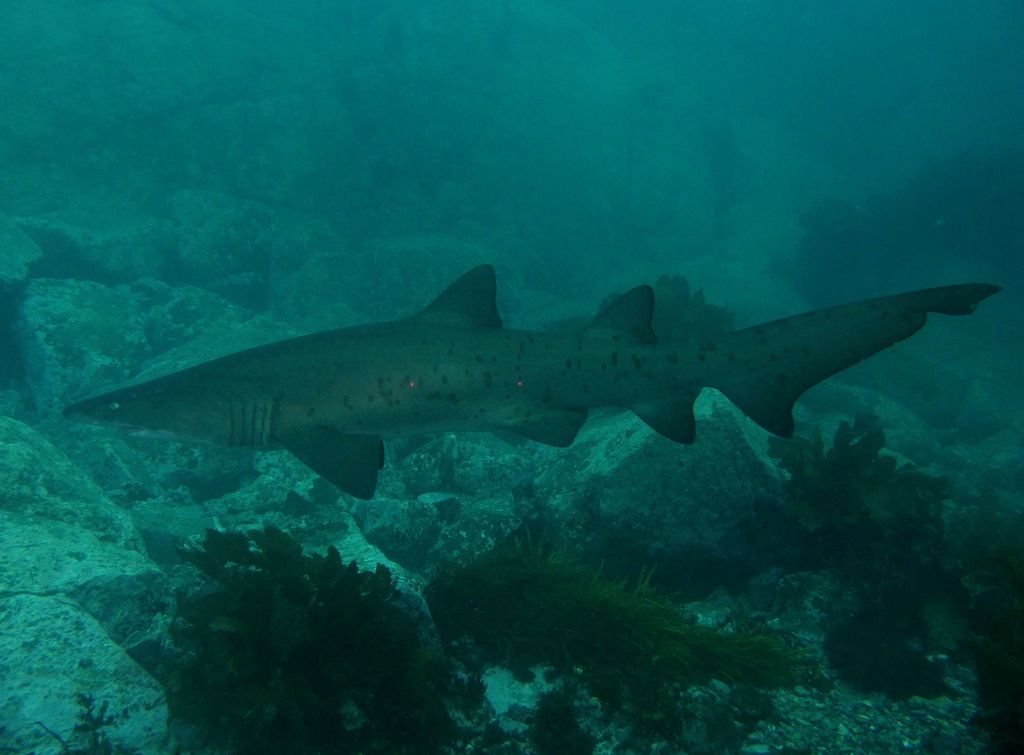 4868df4d-4e6b-41dc-b5c5-6ba64cec9395