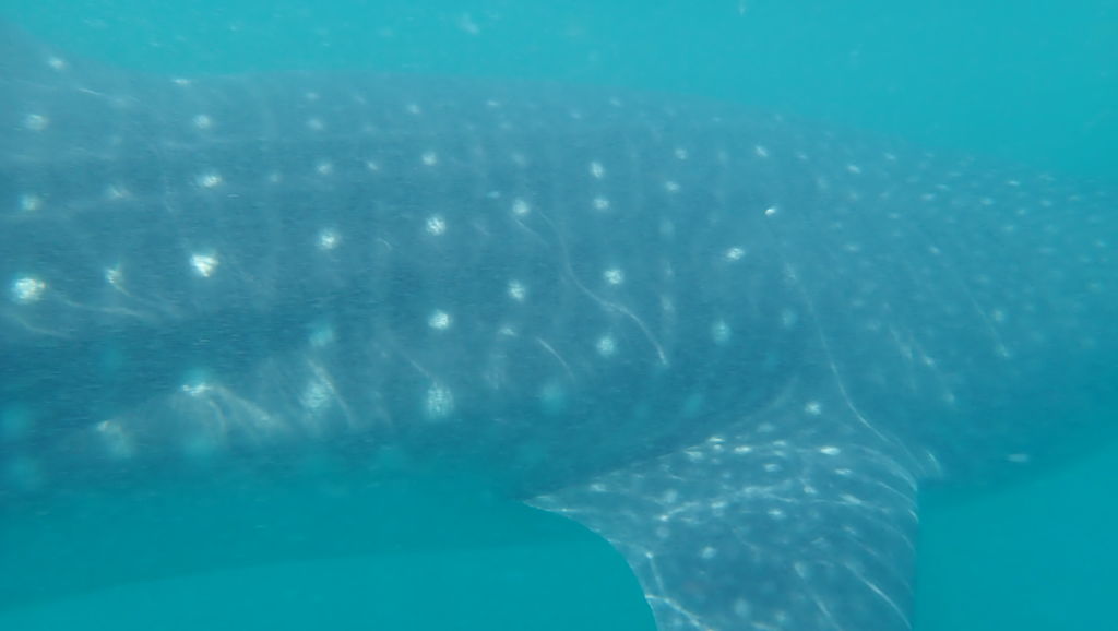 5667f829-42b1-4dd1-8efd-85d22d14f3b2