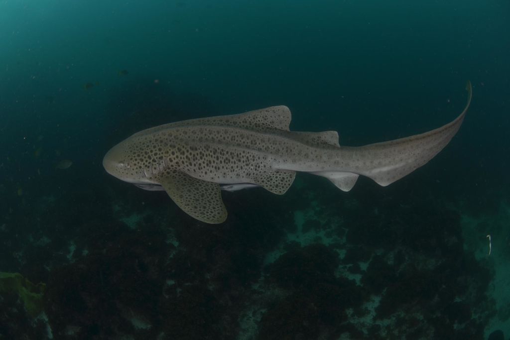 844d9906-4e48-4e70-86ed-e392cd214d7d