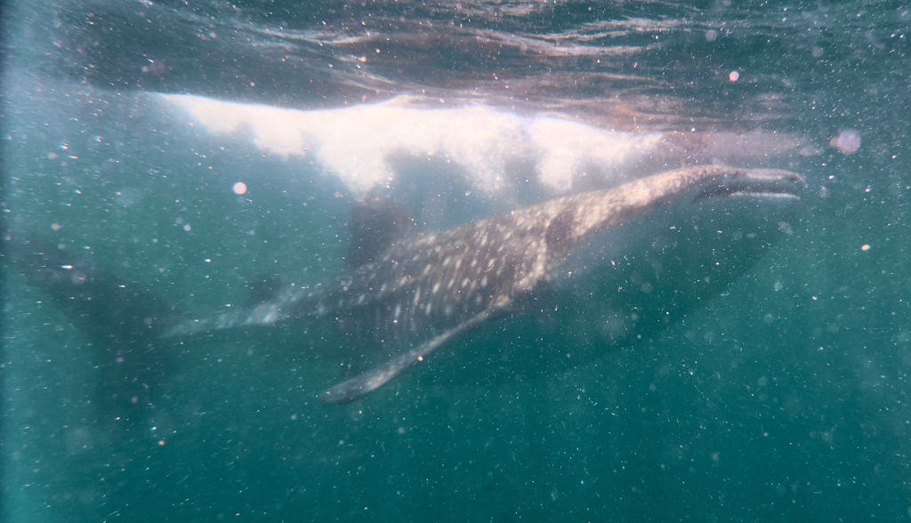 e27b9221-b6db-4806-9d45-c24b3d1aa400