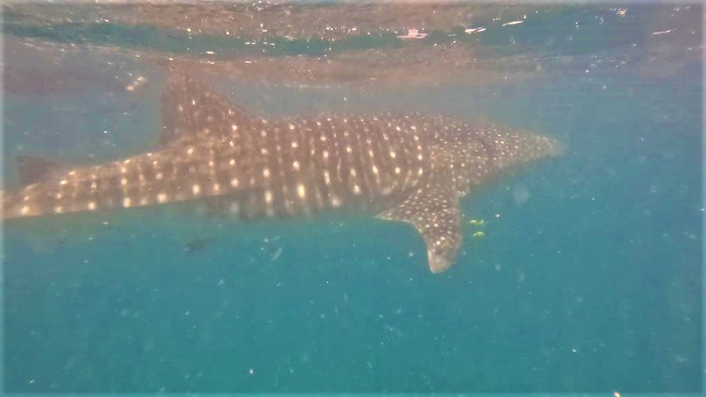 e27b9221-b6db-4806-9d45-c24b3d1aa400