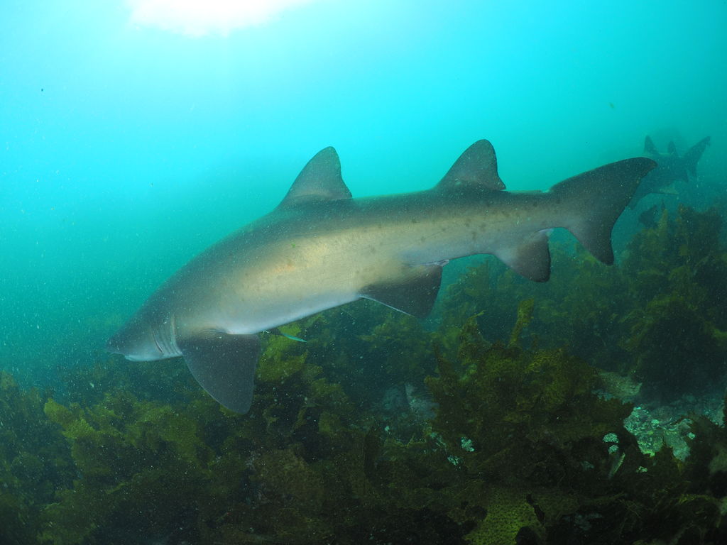 27fbbb42-3991-41da-b00b-55b53a949fc5