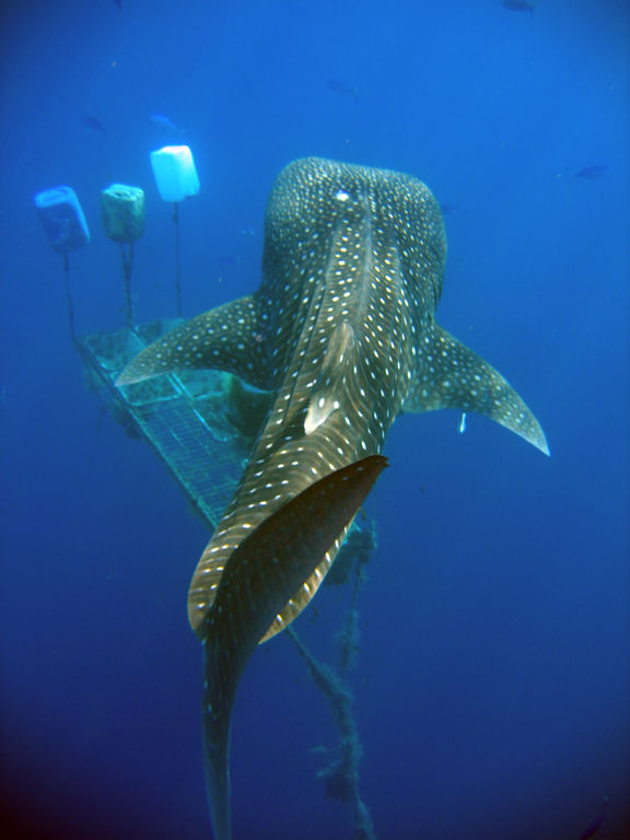 e620c104-fe00-4f72-80f4-a75856a69747