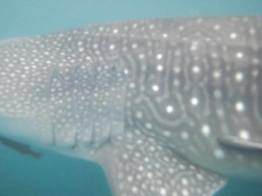 5e8367f3-9433-4252-8126-a32a822b9a7c