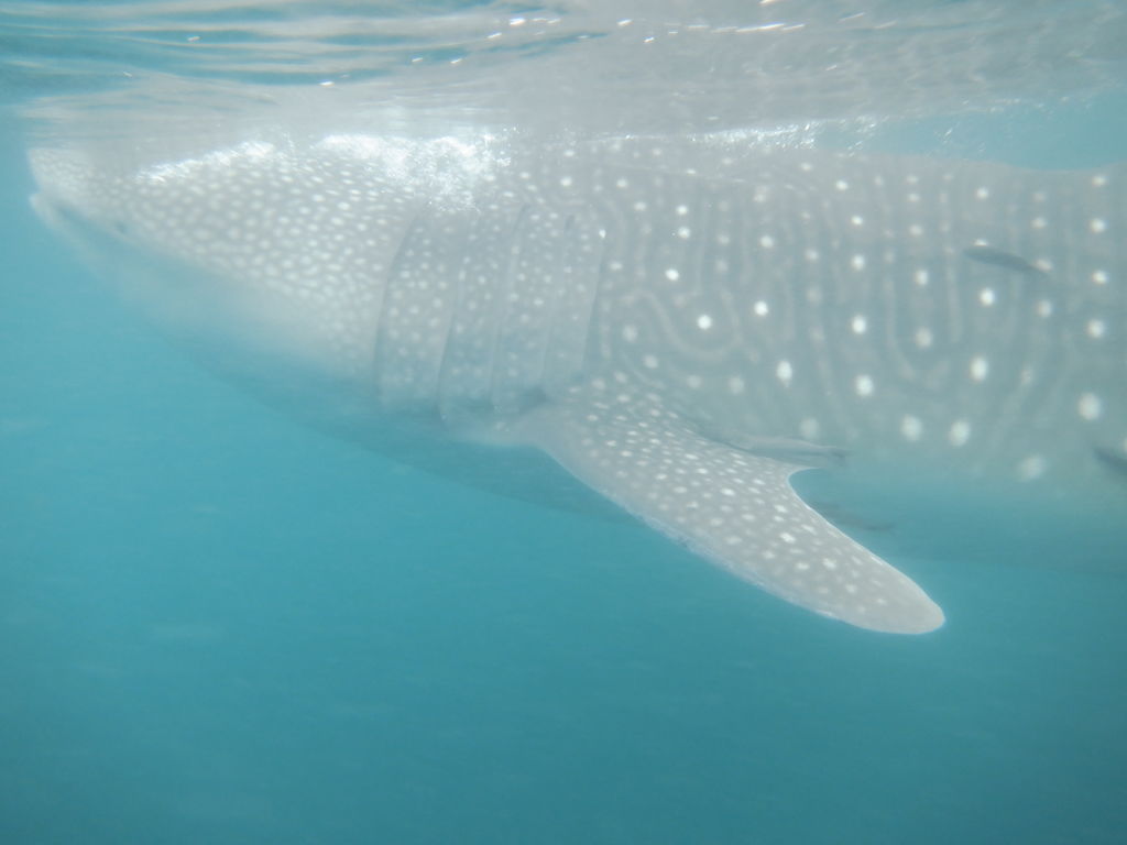 5e8367f3-9433-4252-8126-a32a822b9a7c