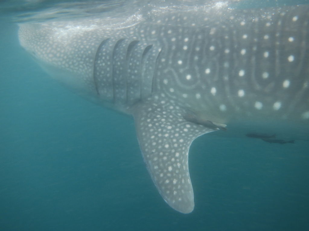 5e8367f3-9433-4252-8126-a32a822b9a7c