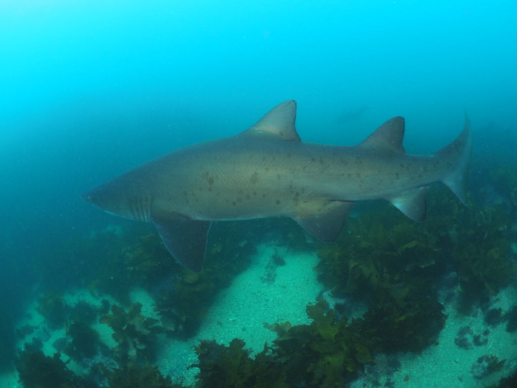 27bf62f6-98b3-4675-8cbe-35a6adf1df88