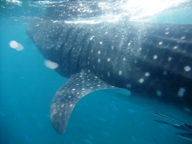 5dfe9d46-4be1-4609-ab54-b3c538788596