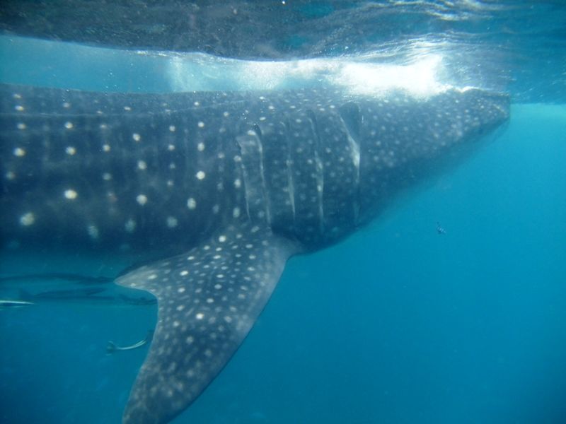 5dfe9d46-4be1-4609-ab54-b3c538788596