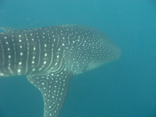 db297e05-e618-40af-b20d-16092b829ab1