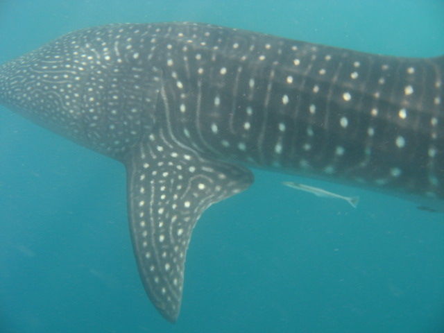 db297e05-e618-40af-b20d-16092b829ab1