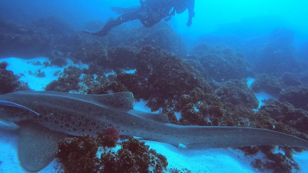 3c392ea8-9328-4a40-922e-5ee2bb19675c