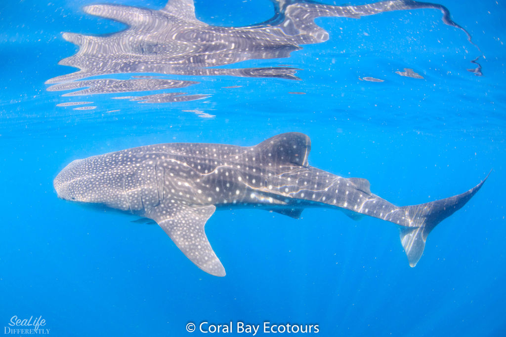 866d51bb-b578-4e5e-8bf0-90e76ecfffa8