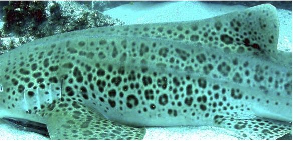 c1bd8bbe-7b47-4e04-a29a-630b153e0ab9