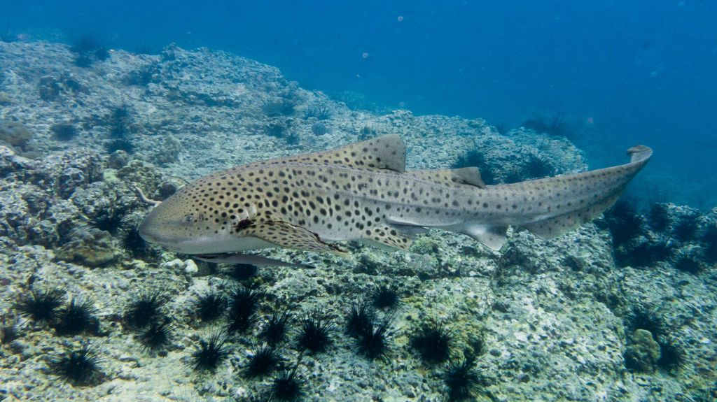 a777b422-1623-4e49-aa73-2398502323d7