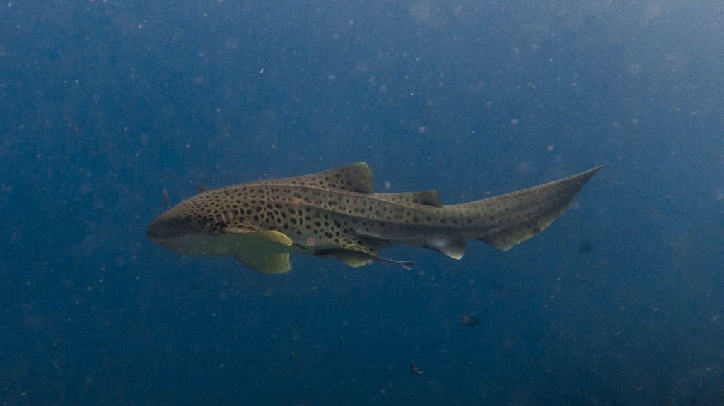 a777b422-1623-4e49-aa73-2398502323d7