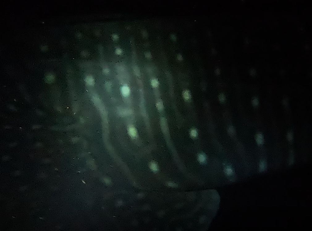 39377834-2da1-4e5a-9952-9b8cf4db8a41