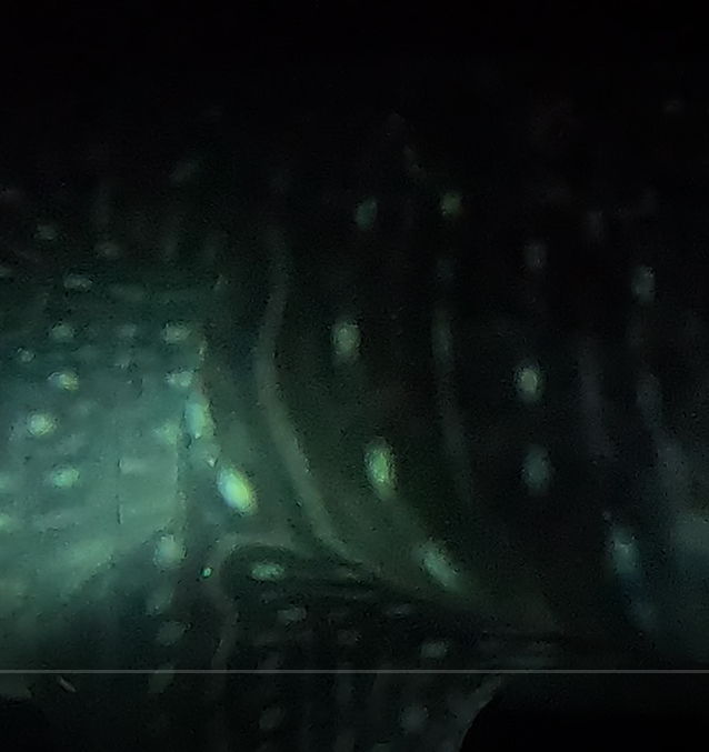 39377834-2da1-4e5a-9952-9b8cf4db8a41