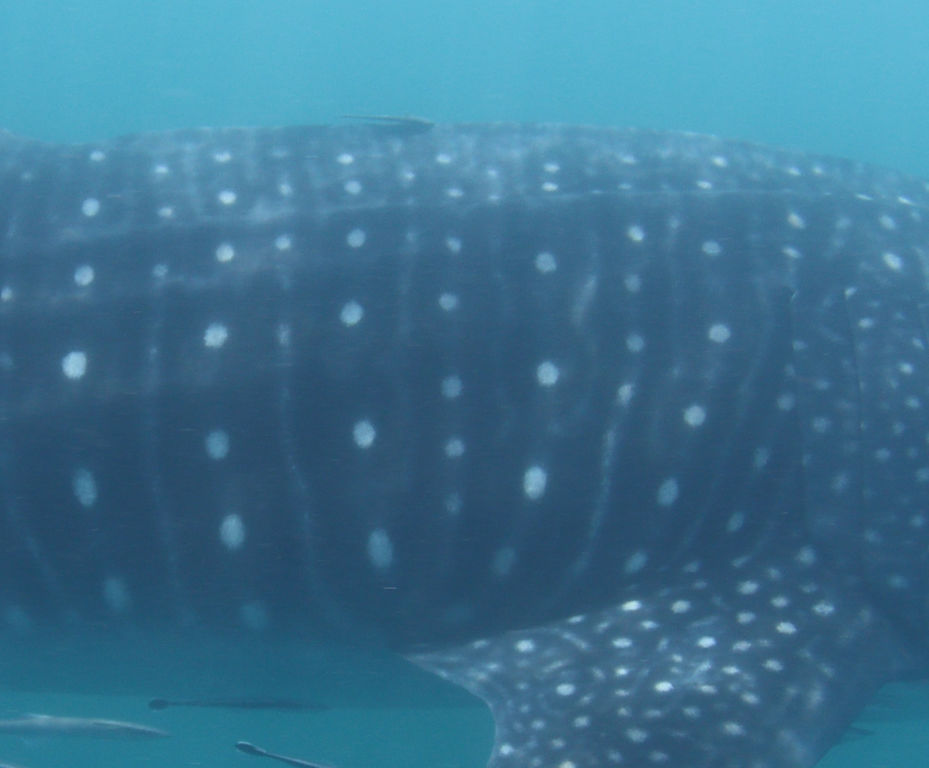 4faa6695-5287-473c-ad7c-6880f7992263