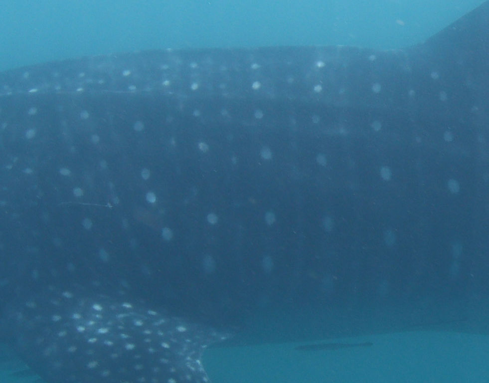 4faa6695-5287-473c-ad7c-6880f7992263