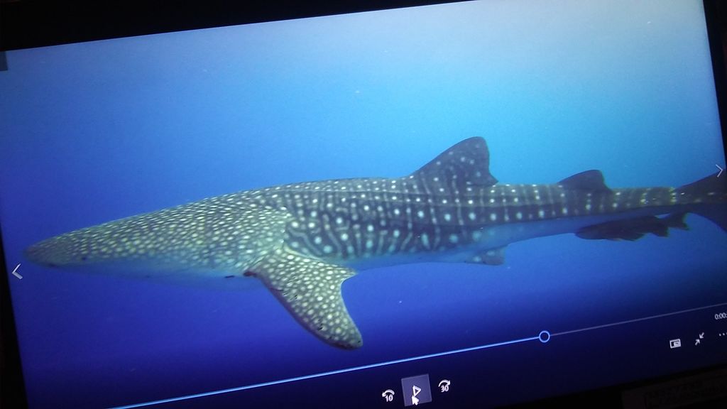 ea3b1e36-b949-4e94-9a75-61f9f2f54c7c