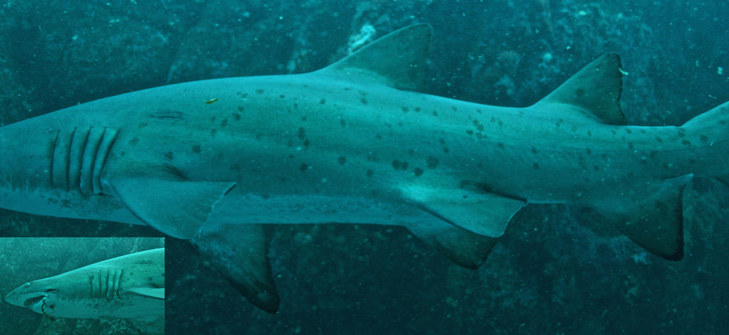 5138d44e-3da4-4128-a10f-8d35b2a87e21