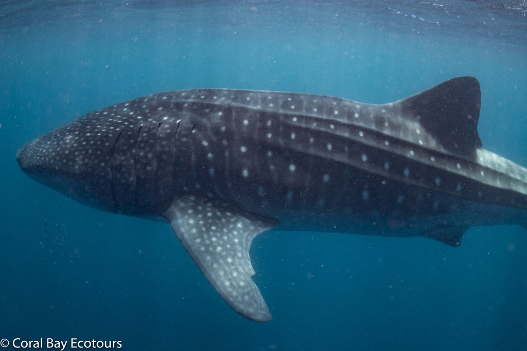 79612e95-77a8-412d-b8de-267e363bc42b