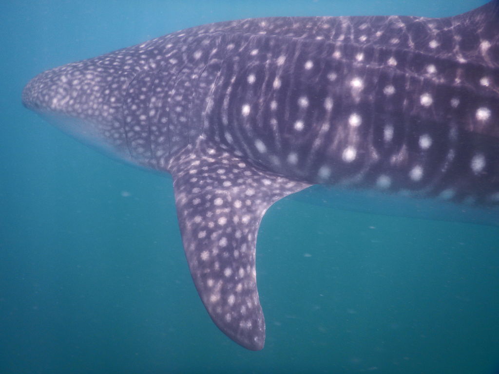 10a06e96-1eb8-445b-98ca-78534d383fbe