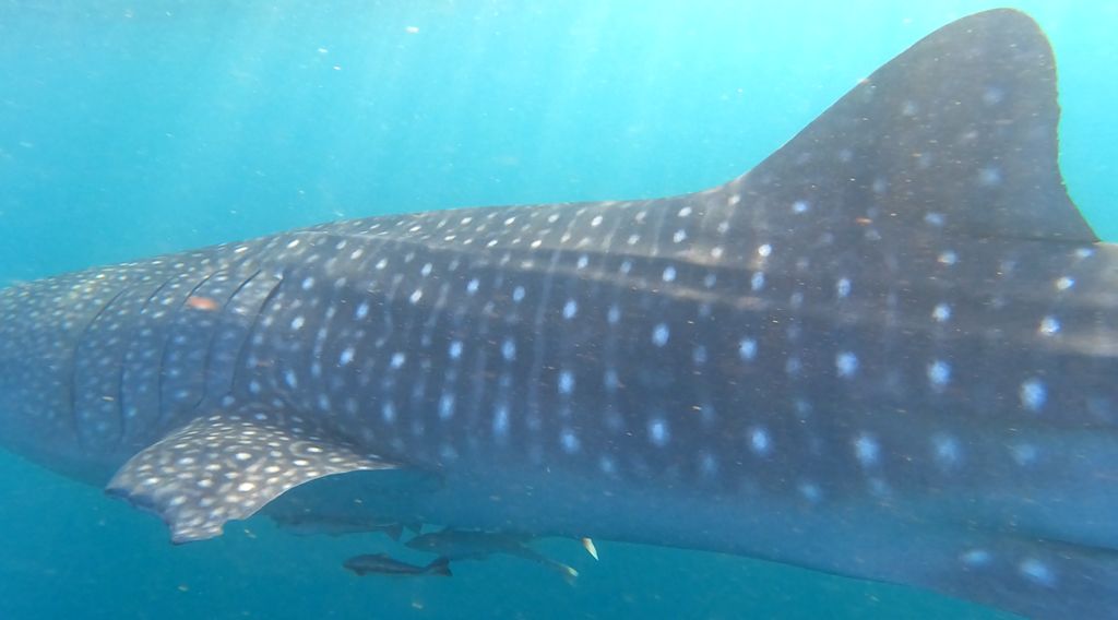 49aa70b6-adb0-4f58-914d-fbd93720541d