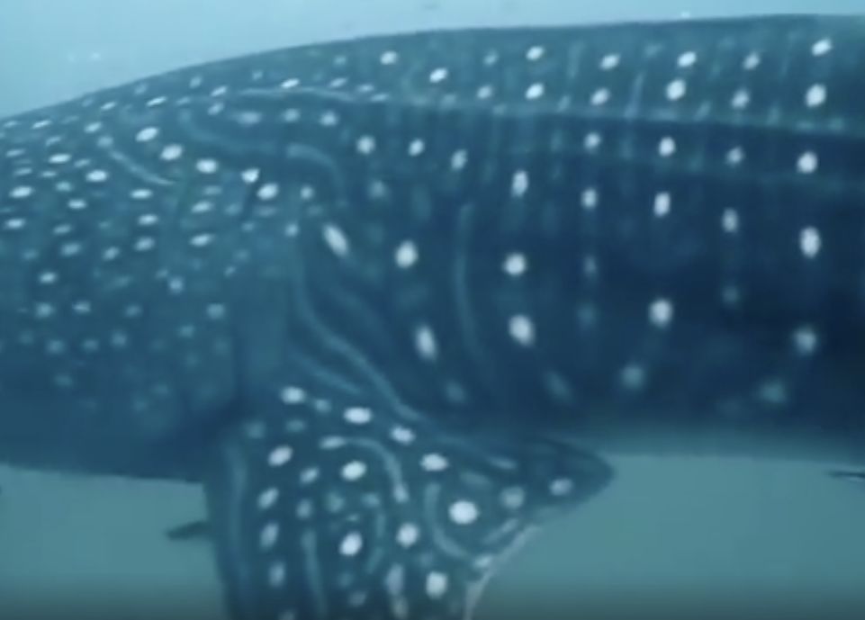 0afb7b23-d164-4552-9d87-ee102f04f19b