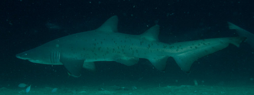 36f00124-017d-4871-8005-7984cc83a822