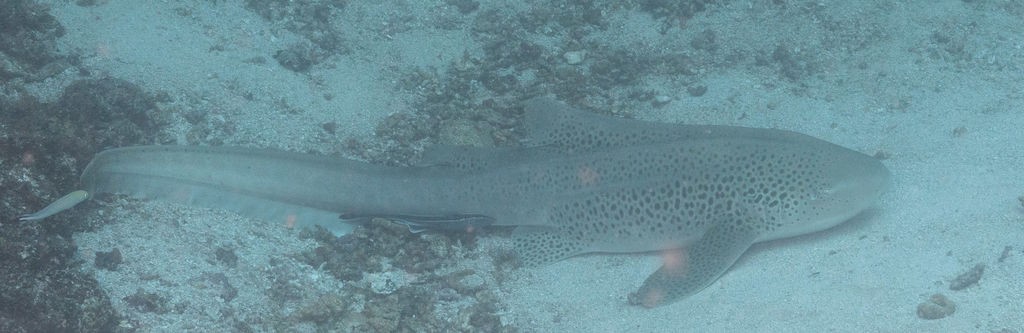 0ba7a75c-d64d-460e-89e1-ac8a6802ba7d