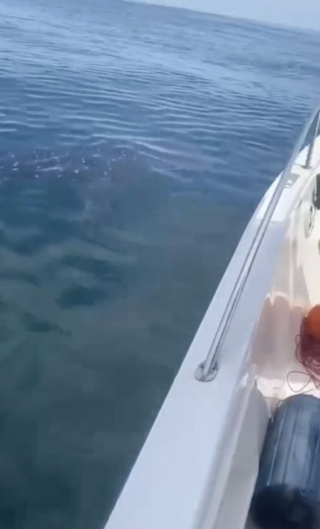 59f7885b-2883-4c8f-aa1a-4b046737a5d9