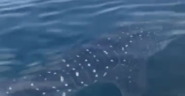 59f7885b-2883-4c8f-aa1a-4b046737a5d9