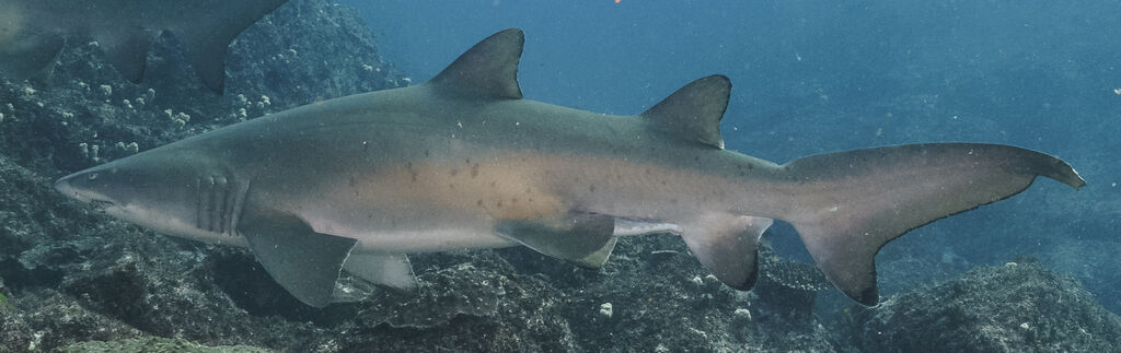 f36d3dea-86c0-4aa6-9f84-6ef9bbf5634f