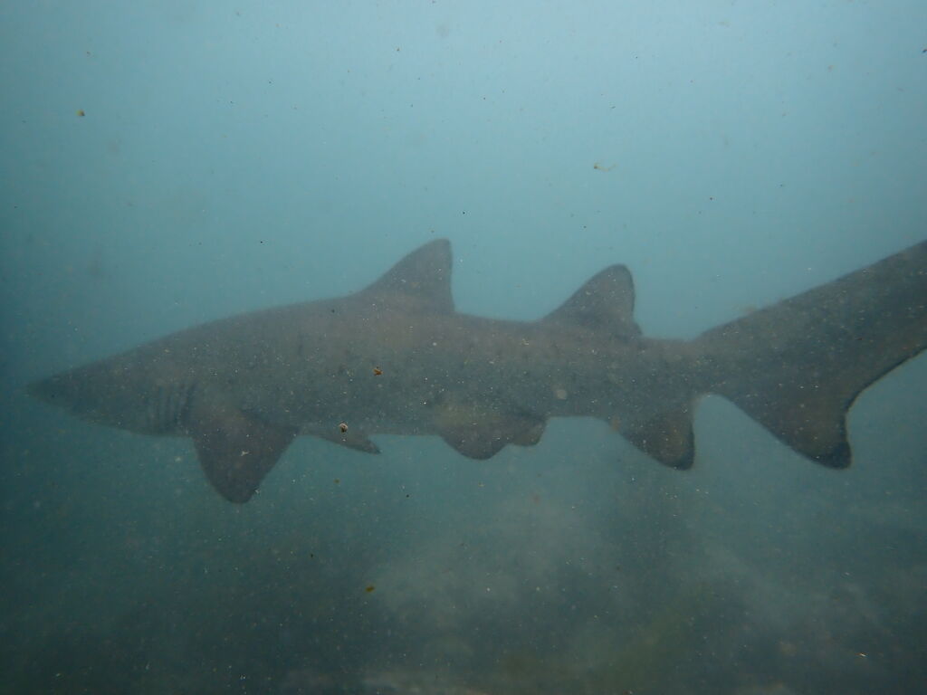 95a439d9-8822-470a-b7f7-aa557dec9eb1