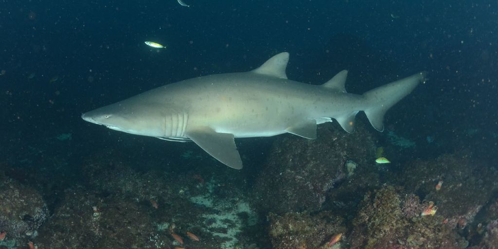 751ebadb-0ab8-45ad-907c-bf47c3cb49f8