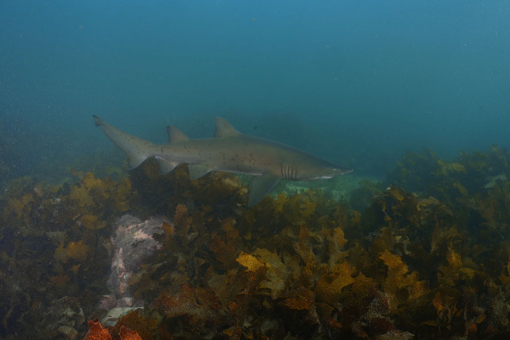 3a842e90-56b6-4882-bab0-39a944560a8d