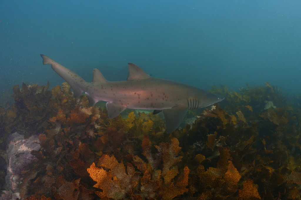 3a842e90-56b6-4882-bab0-39a944560a8d