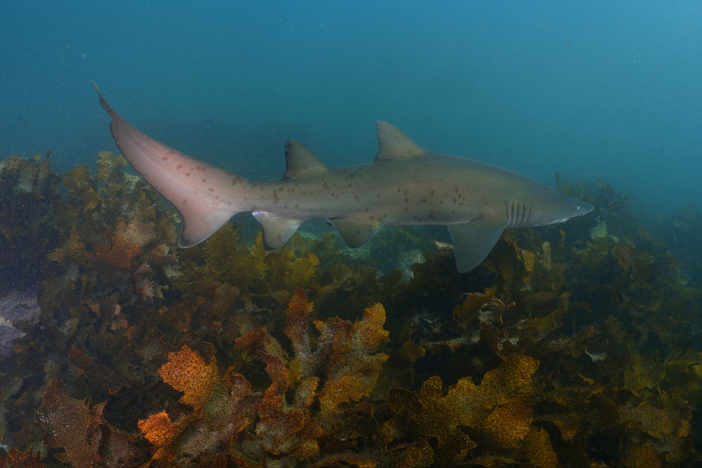 3a842e90-56b6-4882-bab0-39a944560a8d