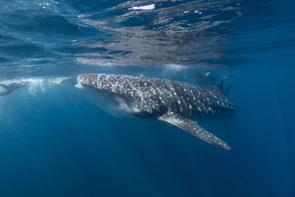 e1c2a57d-d8e3-497e-8209-c505a743c773