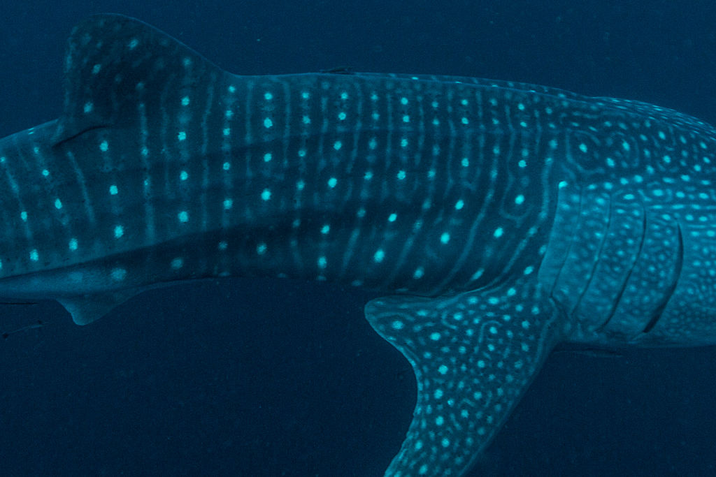 6a688ddb-da75-4551-80a4-a565f20b026d