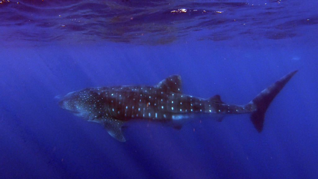 eabbb505-531a-4825-a2cd-a54face05e68