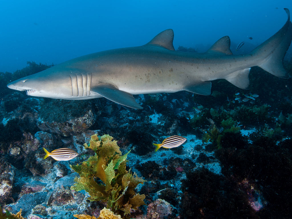 95329c18-0690-4ccb-8777-f7e293bdfee3