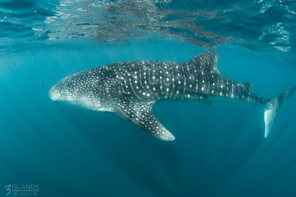 76fece57-1f34-4e3c-b85e-76ac13def293