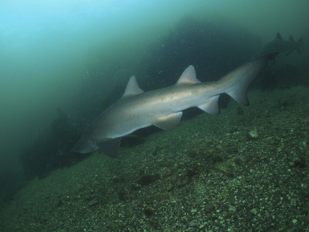 858eec47-7cff-4ecd-be4d-ed5a1cd687e1