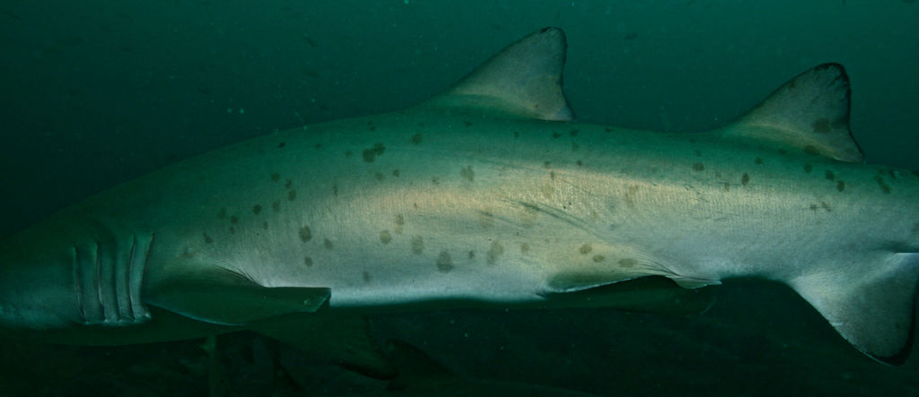 c22af6c8-8caa-420d-93f5-cd23a77e7bbb