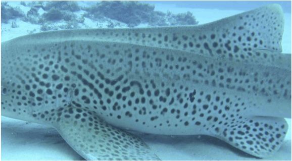 d3d958fd-afbb-4a06-9a00-a3dc09ab95fb